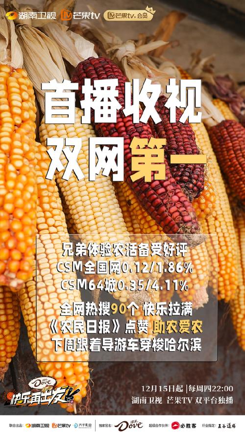 快乐再出发官微联动晚微网络 一场粉丝经济的双向奔赴与内容生态的破圈实验